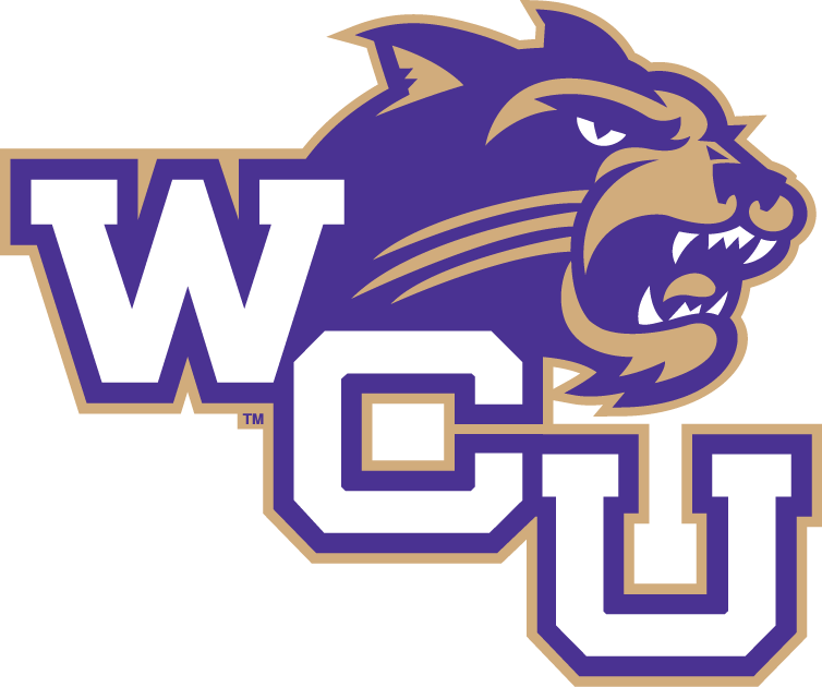 Western Carolina Catamounts 2008-Pres Alternate Logo v2 diy iron on heat transfer...